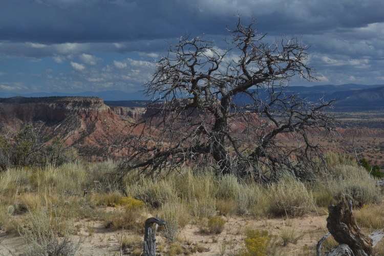 View from Chimney Rock Trail